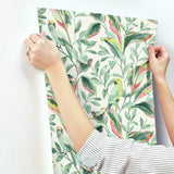 TC2653 Tropical Love Birds White Coral Wallpaper