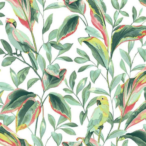 TC2653 Tropical Love Birds White Coral Wallpaper