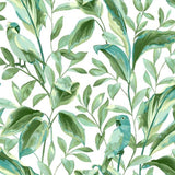 TC2654 Tropical Love Birds White Aqua Wallpaper