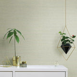 TC2662 Boucle Tan Wallpaper