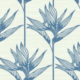 TC2671 Bird Of Paradise Wallpaper