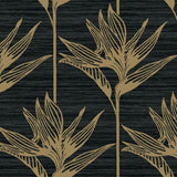 TC2674 Bird Of Paradise Black Gold Wallpaper