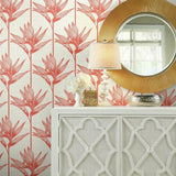 TC2676 Bird Of Paradise Coral Wallpaper