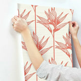 TC2676 Bird Of Paradise Coral Wallpaper