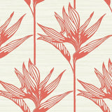 TC2676 Bird Of Paradise Coral Wallpaper