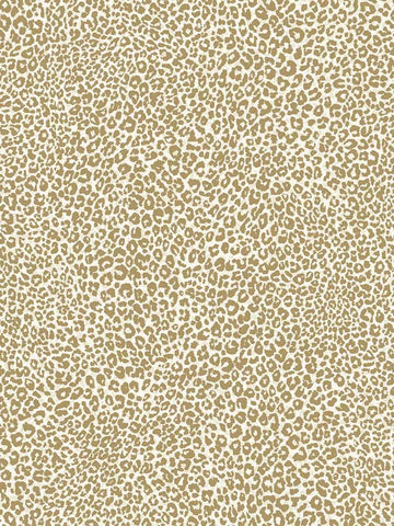TC2681 Leopard King Gold Wallpaper
