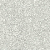 TC2683 Leopard King Grey Wallpaper