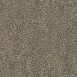 TC2684 Leopard King Brow Wallpaper