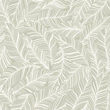 TC2711 Rainforest Canopy Glint Wallpaper