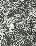 TCW007TCAHOUL030 Dolce & Gabbana charcoal black white cheetah leopard wallpaper textured roll