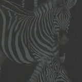 TCW007TCAHOUZ018 Dolce & Gabbana charcoal black zebra print wallpaper textured roll