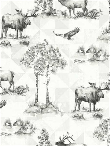 TH50100 Alaska Moose Wallpaper