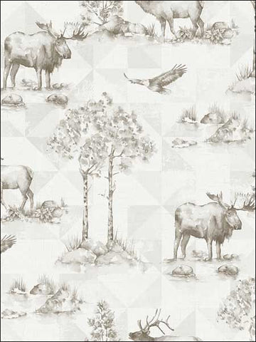 TH50108 Alaska Moose Wallpaper