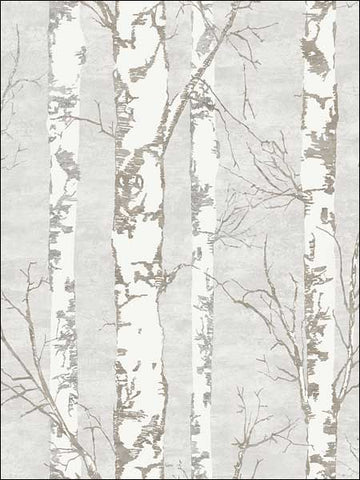 TH50208 Alaska Birch Wallpaper