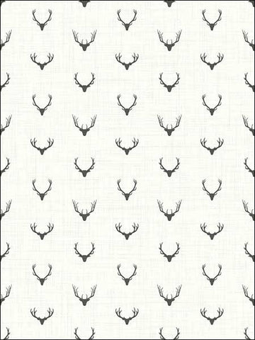 TH50300 Alaska Antlers Wallpaper 