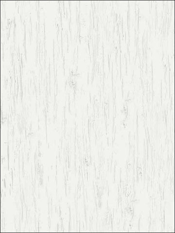 TH50400 Alaska Birch Texture Wallpaper