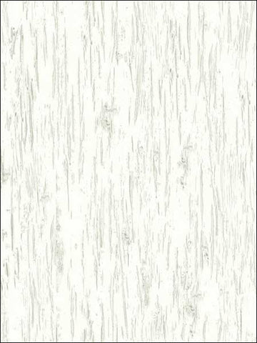 TH50408 Alaska Birch Wallpaper