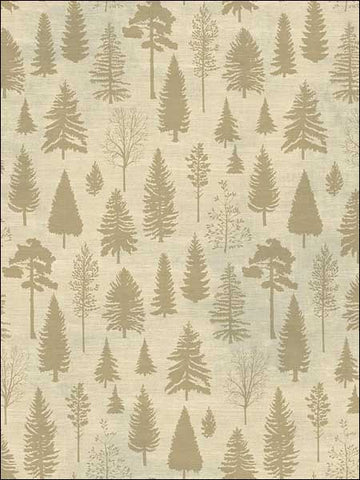  TH50701 Colorado Pines Wallpaper