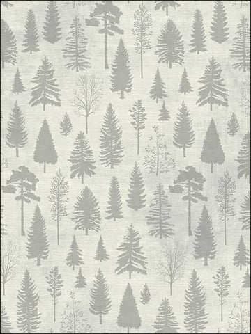 TH50704 Colorado Pines Wallpaper