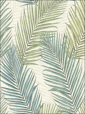 TH51504 Florida Palms Wallpaper