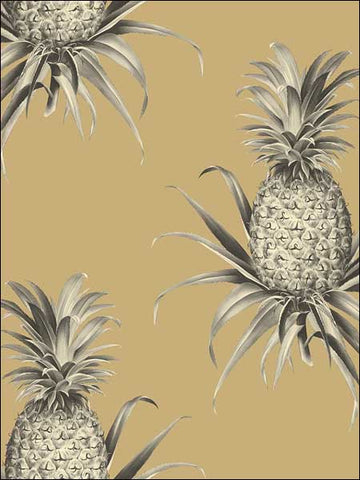 TH52007 Florida Pineapples Wallpaper