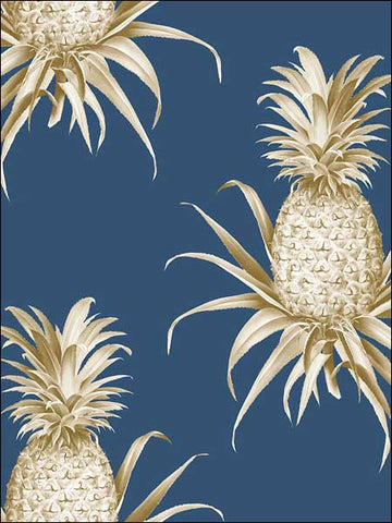 TH52012 Florida Pineapples Wallpaper