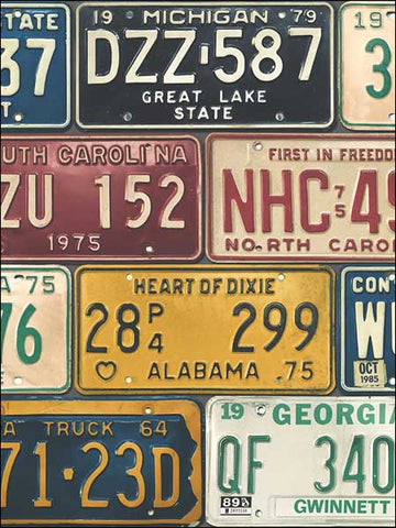 TH52501 Detroit Licence Plates Wallpaper