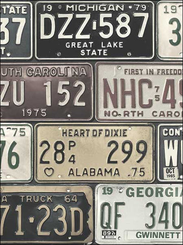 TH52509 Detroit Licence Plates Wallpaper 