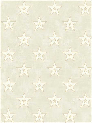 TH52905 Hollywood Stars Wallpaper 