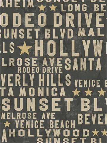TH53505 Hollywood Wallpaper 