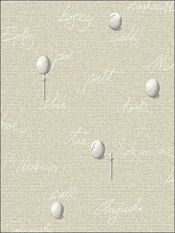 TH53608 Florida Golf Wallpaper