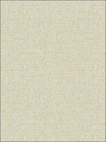 TH53702 Basketweave Texture Wallpaper