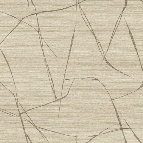 TH91905 Davenport Sketch Honeycomb Wallpaper