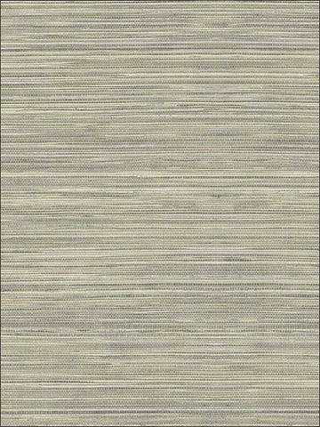 TL30100 Grasscloth Wallpaper