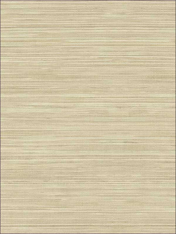 TL30103 Grasscloth Wallpaper