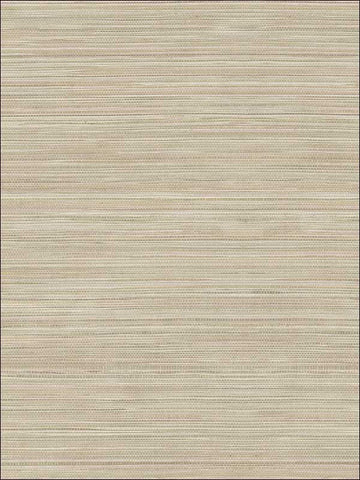 TL30107 Grasscloth Wallpaper