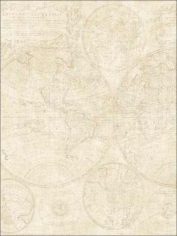 TL31905 World Map Wallpaper