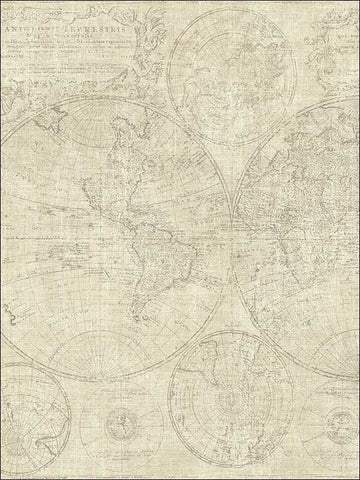 TL31907 World Map Wallpaper