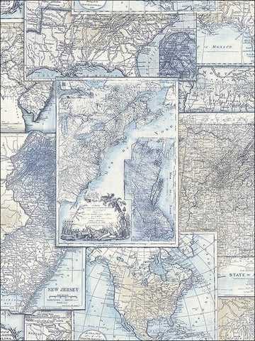 TL32502 Map Wallpaper