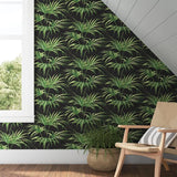 TP80600 Charcoal gray Black green floral palm leaf tropical leaves modern wallpaper roll