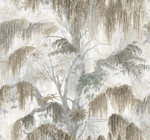 TR70205 Spanish Moss Fog Wallpaper 
