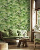 TR70224 Spanish Moss Fern Wallpaper