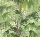 TR70224 Spanish Moss Fern Wallpaper