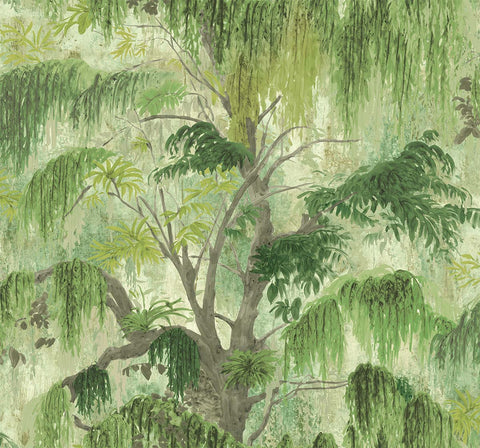 TR70224 Spanish Moss Fern Wallpaper