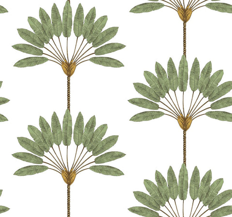 TR70404 Flourish Apple Wallpaper