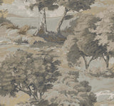TR70707 Scenic Trees Cappuccino Wallpaper