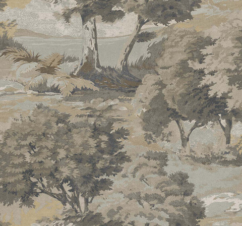 TR70707 Scenic Trees Cappuccino Wallpaper