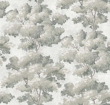 TR70807 Reverie Ivory Wallpaper