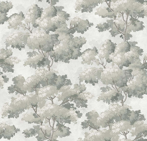 TR70807 Reverie Ivory Wallpaper