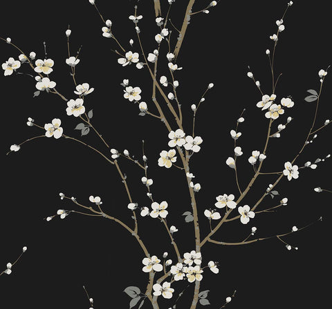 TR70900 Cherry Branches Onyx Wallpaper